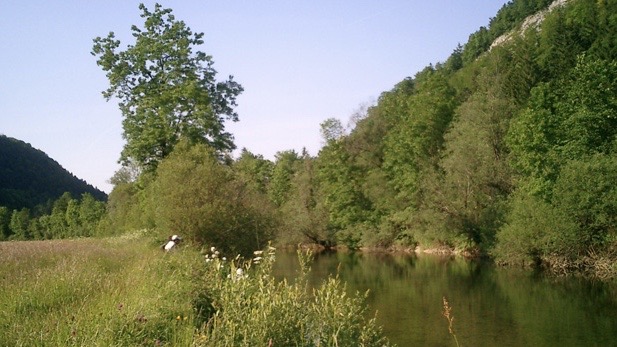 La Haute Rivière d'Ain